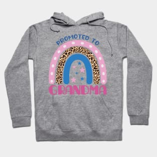 Promoted To Grandma - Pregnancy Hoodie